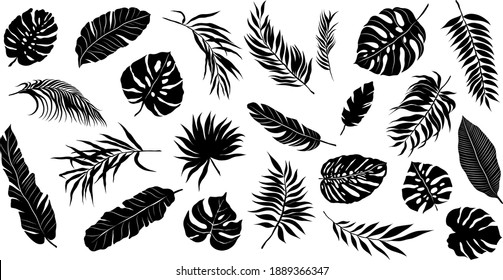 palm leaves set pattern black and white vector illustration 