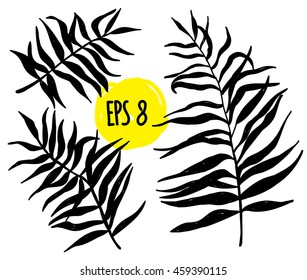 
Palm leaves . Set of vector images . Drawing by hand .