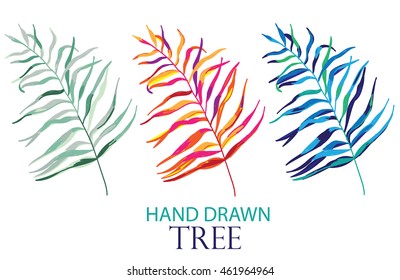 Palm leaves . Set of vector images . Drawing by hand .