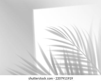 Palm leaves shadow background overlay, plant leaf shade on wall, realistic vector. Summer sun shadow through window with palm tree leaves tree, tropical jungle in daylight effect