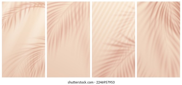 Palm leaves shadow overlay on creamy beige background. Realistic vector illustration of exotic plant foliage, branch silhouettes. Set of poster, social media stories, spa salon promo flyer templates