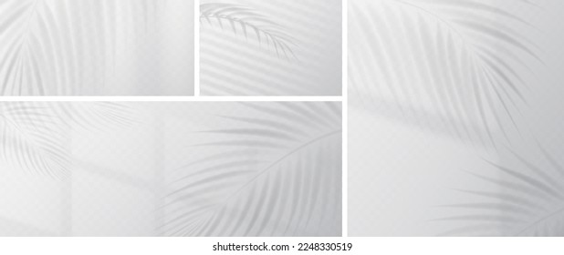 Palm leaves shadow overlay on transparent background. Effect of sunlight from window and gray shades of tropical plant foliage on wall, vector realistic illustration