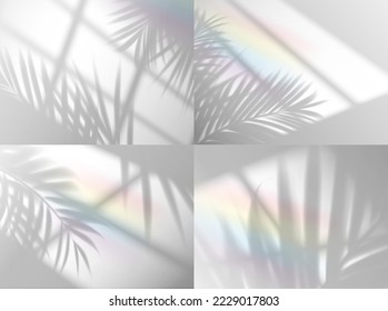 Palm leaves shadow with rainbow background overlay, vector window and plant branch silhouette. Summer palm leaf shadow overlay with sun light shade through window, realistic rainbow light effect