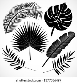 Palm leaves silhouette set. Black tropical plants icons collection isolated on white background. Vector illustration