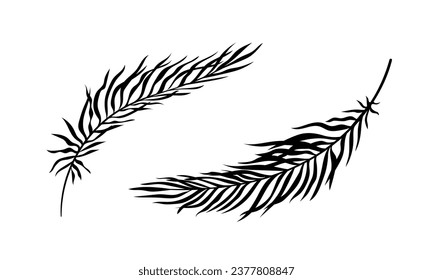 Palm leaves silhouette set. Black branches with foliage. Tropical and exotic stem. Rainforest and jungle plants part. Cartoon flat vector collection isolated on white background