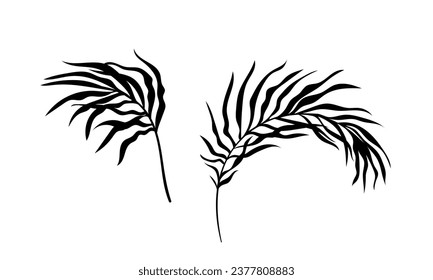 Palm leaves silhouette set. Black branches with foliage. Tropical and exotic stem. Botany and floristry. Graphic element for website. Cartoon flat vector collection isolated on white background