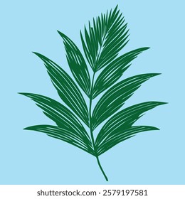 Palm leaves silhouette, palm leaves silhouette in vector format, used for pattern making, used for decoration in various forms.