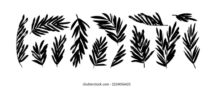 Las siluetas de hojas de palmera aisladas en un fondo blanco. Colección de ramas de palmera dibujadas a mano. Esbozar hojas tropicales de estilo dibujadas por pincel. Resumen de elementos de tinta negra de planta. Artes de clip vectorial monocromo.