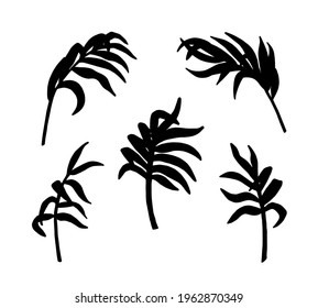 Palm leaves. Silhouettes of tropical leaf isolated on white background. Set leaves exotic tree. Tropic plant. Hand drawn palm leaves. Vector illustration