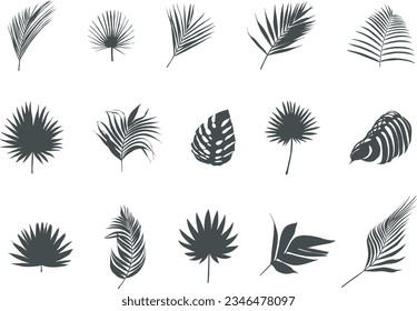 Palm leaves silhouettes, Tropical palm leaves vector, Leaf icon, Leaf silhouette, Palm leaf vector, Palm leaves Svg, Leaves silhouette