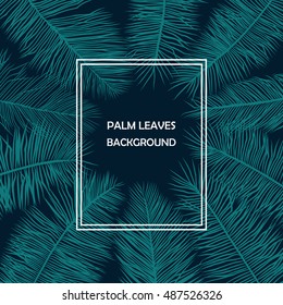 palm leaves stylized decoration with empty frame for text
