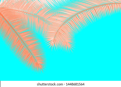 Palm leaves. Summer background. Coral, cyan colors. Vector illustration. Tropical palm leaves frame backdrop.
