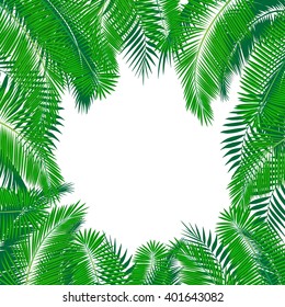 Palm leaves tropical background. Palm leaves  frame.  greeting card.