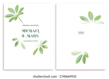Palm leaves. Tropical background. Green. White. Wedding invitation.