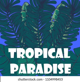 palm leaves, tropical background, vector illustration
