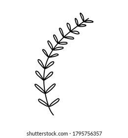 palm leaves tropical nature plant on white background vector illustration design