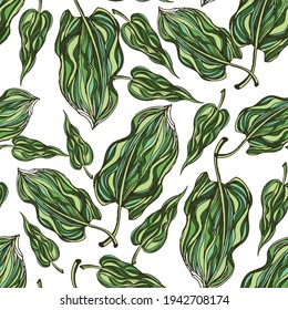 Palm. Leaves of Tropical Plants Tall Green Trees Vector Seamless Pattern. 