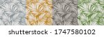 Palm leaves. Tropical seamless background pattern. Graphic design with amazing palm trees suitable for fabrics, packaging, covers. Set of vector posters.