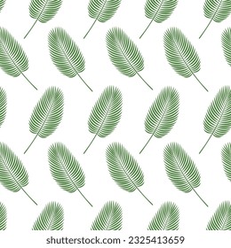 Palm leaves tropical seamless pattern isolated on white background. Hand drawn vector doodle pattern. Decorative summer design for textile, fashion. Green botanical illustration background