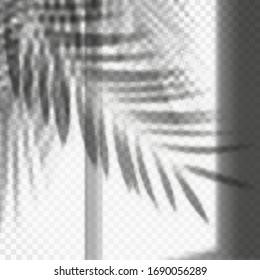 Palm leaves or tropical tree leaf reflection on wall. Window shadowy overlay effects. Light reflection for poster or blurry wallpaper. Mockup of tropic plant foliage. Monochrome vector overshadow