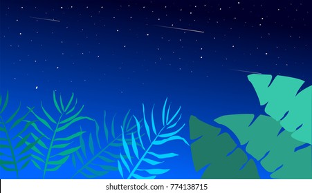 Palm leaves under blue starry sky night illustration vector. Copy space