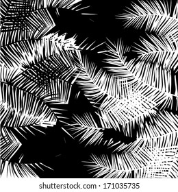 palm leaves. Vector