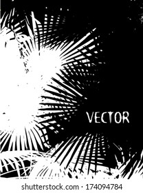 palm leaves. Vector 