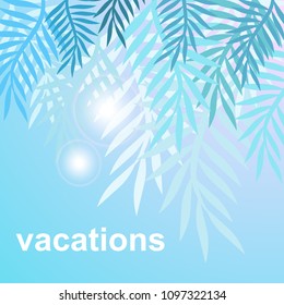 Palm leaves vector background