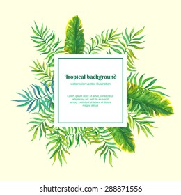 palm leaves. vector background