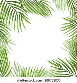 Palm leaves vector background. Summer frame. EPS 10.