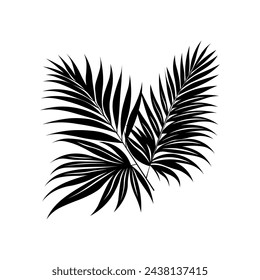 
palm leaves, vector, black on a white background