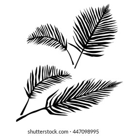 palm leaves - vector illustration