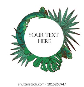 palm leaves, vector illustration, banner, place for text
