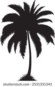 Ilustración vectorial de hojas de palmera Conjunto de siluetas realistas de hojas de palmera Formas de color negro