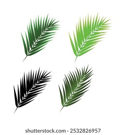 palm leaves vector, tropical palm leaves vector silhouette illustration