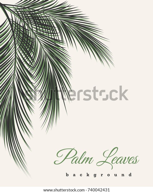 Palm Leaves Vintage Background Palm Tree Stock Vector (Royalty Free