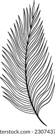 palm line art, design, illustration, vector, palm, line, art, graphic, nature, summer, drawing, background, tropical, leaf, abstract, modern, plant, exotic, print, isolated, outline, poster, tree