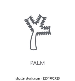 Palm linear icon. Modern outline Palm logo concept on white background from Fruits and vegetables collection. Suitable for use on web apps, mobile apps and print media.
