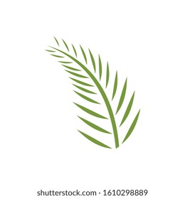 Palm logo template design vector. beach , sea