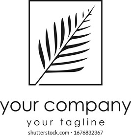 palm logo for your business