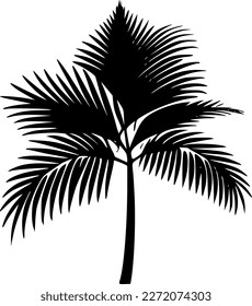 Palm | Minimalist and Simple Silhouette - Vector illustration