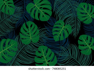 Palm and monstera deliciosa leaves on black background vector illustration