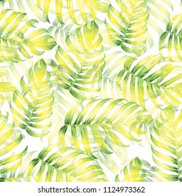 Palm Monstera Exotic Seamless Pattern. Green White Tropical Summer Background. Beach Jungle Leaves for Swimwear Design. Lei Rapport. Retro Hawaiian Print. Tropic Textile Texture.  Botanic tile.