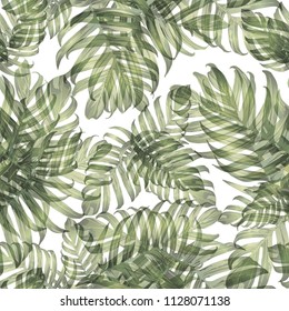 Palm Monstera Exotic Seamless Pattern. Green White Tropical Summer Background. Beach Jungle Leaves for Swimwear Design. Lei Rapport. Vintage Hawaiian Print. Exotic Texture. Botanic tiling.