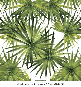 Palm Monstera Exotic Seamless Pattern. Green White Tropical Summer Background. Beach and Jungle Leaves for Swimwear Design.  Lei Rapport. Retro Hawaiian Print. Exotic Texture. Botanic tiling.