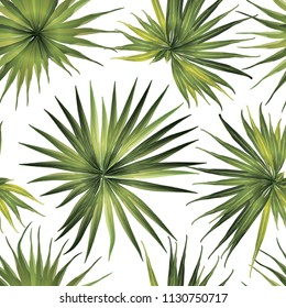 Palm Monstera Exotic Seamless Pattern. Green White Tropical Summer Background. Beach Jungle Leaves for Swimwear Design. Lei Rapport. Retro Hawaiian Print. Exotic Texture. Botanic tiling.