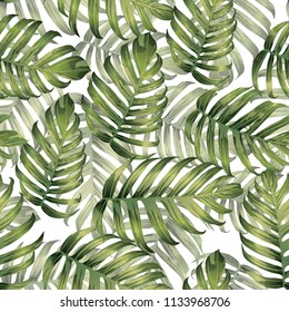 Palm Monstera Exotic Seamless Pattern. Green White Tropical Summer Background. Beach Jungle Leaves for Swimwear Design. Lei Rapport. Vintage Hawaiian Print. Exotic Texture. Botanic tiling.