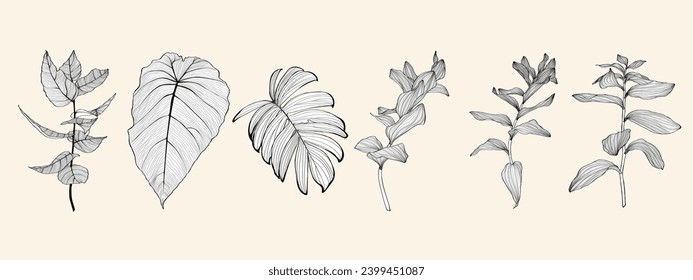 Palm und Monstera hinterlassen ein großes Set, schwarz-weiß mit Zeichenkunstgrafik. Einzeln auf weißem Hintergrund.