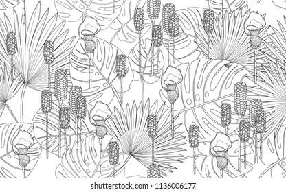 Palm and monstera leaves with tumeric flowers. Big leaves and exotic flowers composition. Vector illustration. Botanical seamless wallpaper. Digital nature art. Cartoon style sketch. White background.