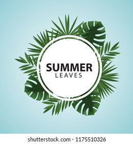Palm , monstera leaves vector illustration